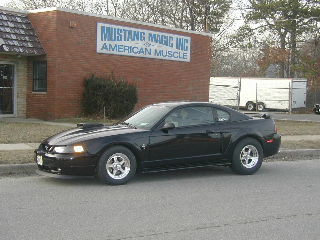 Mustang Magic Incorporated - Deer Park NY 11729 | 888-262-7248